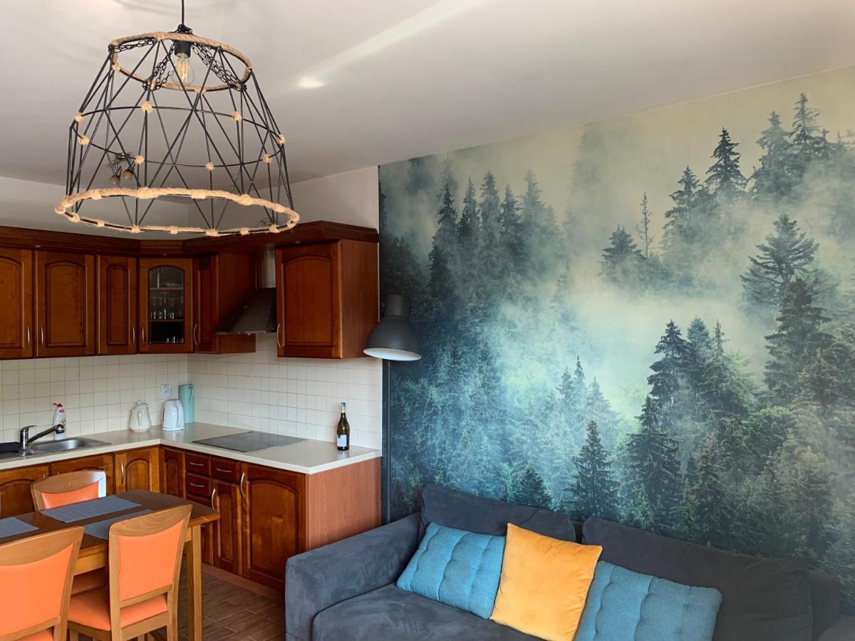 Apartament Na Wzgorzu Вісла Екстер'єр фото